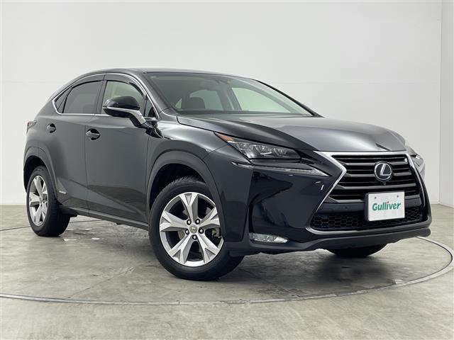 NX300h バージョンL