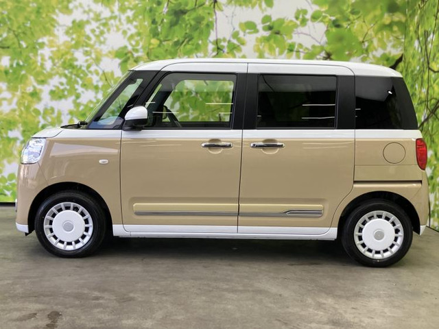 ムーヴキャンバスストライプス G