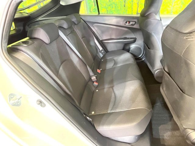 �㕔���Ȃ��C�ɂȂ�悤�ȃL�Y�E�����ւ��蓙�A�傫�ȃ_���[�W�͂Ȃ��A�ǍD�ȏ�Ԃł��B