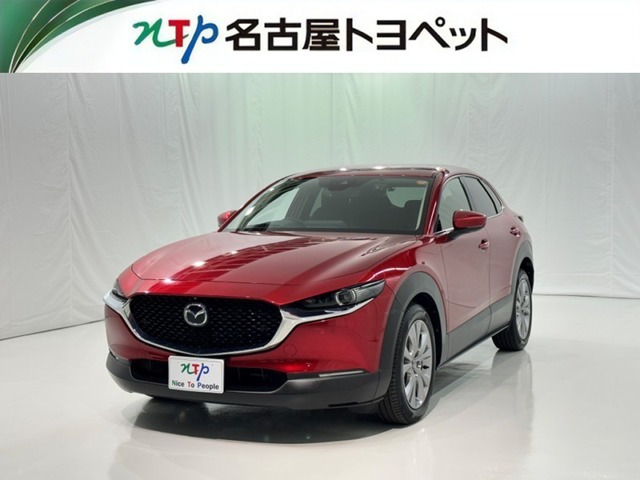 CX-301.8 XD プロアクティブ