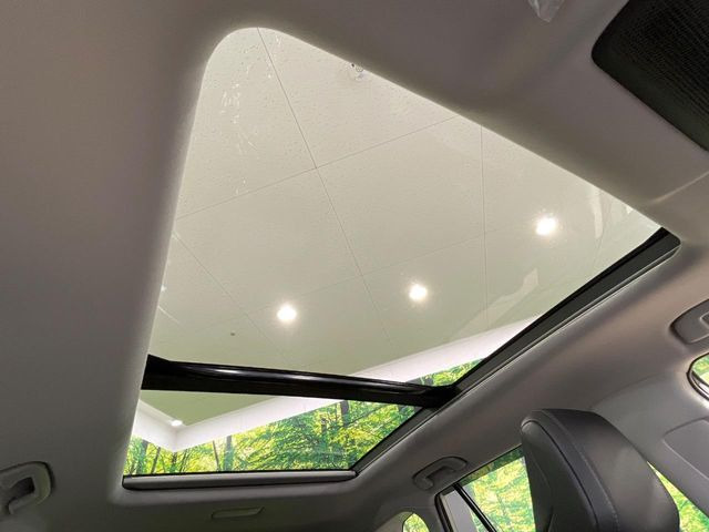 RAV42.5 Z E-Four 4WD