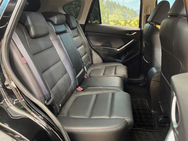 �㕔���Ȃ��C�ɂȂ�悤�ȃL�Y�E�����ւ��蓙�A�傫�ȃ_���[�W�͂Ȃ��A�ǍD�ȏ�Ԃł��B