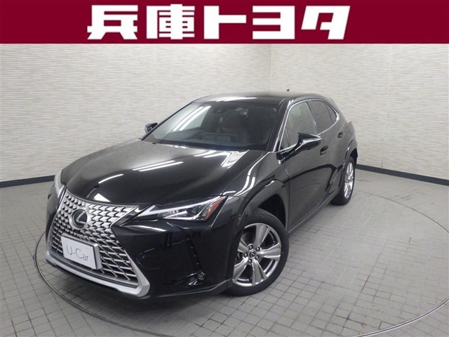 UX250h グレイスフル エクスプローラー