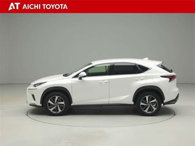 NX300 バージョンL