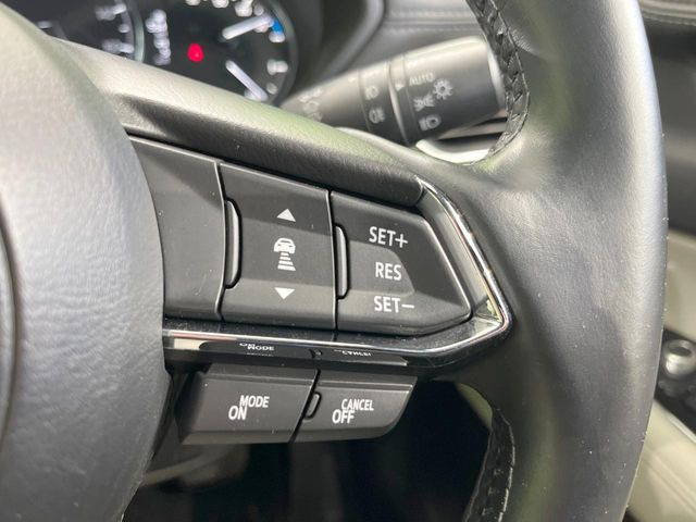 �y�}�c�_�E���[�_�[�N���[�Y�R���g���[���z�������H�ł̒��������s���y��!�����ő��x��ۂN���[�Y�R���g���[�����A�Փˌy���V�X�e���ƘA�g���A�O���̎ԗ������m���ĎԊԂ�ۂ悤�ɑ��x���߂��Ă���܂�!!