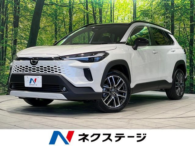 �J���[�� �N���X�i�g���^�j1.8 �n�C�u���b�h Z ���Îԉ摜