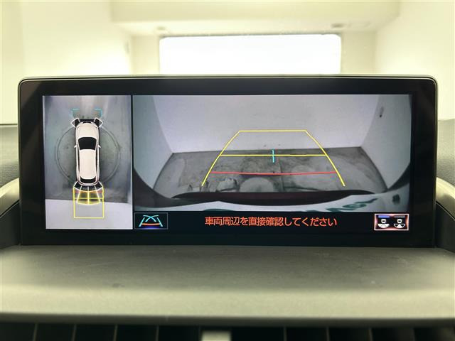 NX300h バージョンL