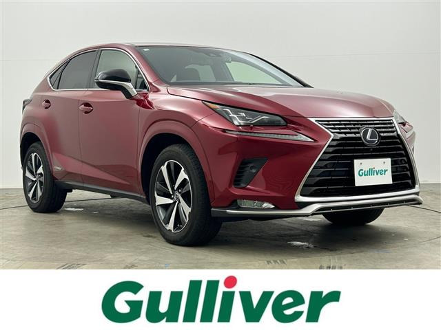 NX300h スパイス&amp;シック