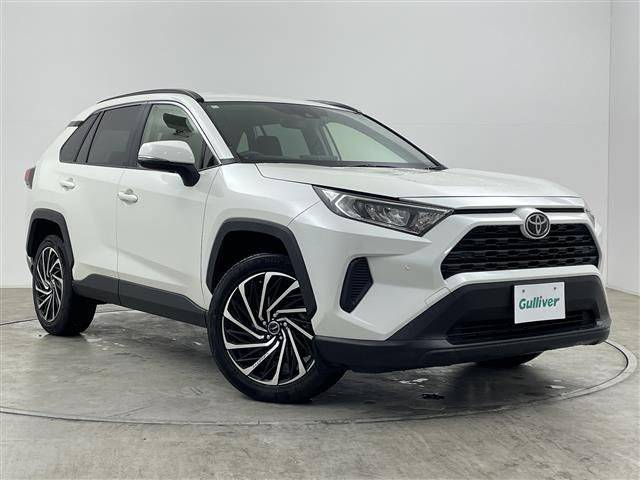 RAV42.0 X