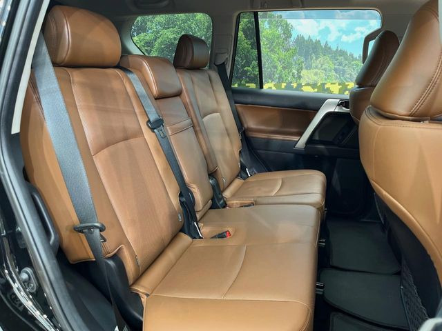 �㕔���Ȃ��C�ɂȂ�悤�ȃL�Y�E�����ւ��蓙�A�傫�ȃ_���[�W�͂Ȃ��A�ǍD�ȏ�Ԃł��B