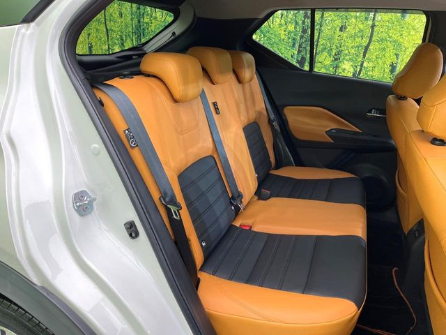 �㕔���Ȃ��C�ɂȂ�悤�ȃL�Y�E�����ւ��蓙�A�傫�ȃ_���[�W�͂Ȃ��A�ǍD�ȏ�Ԃł��B