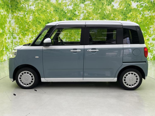 ムーヴキャンバスストライプス X