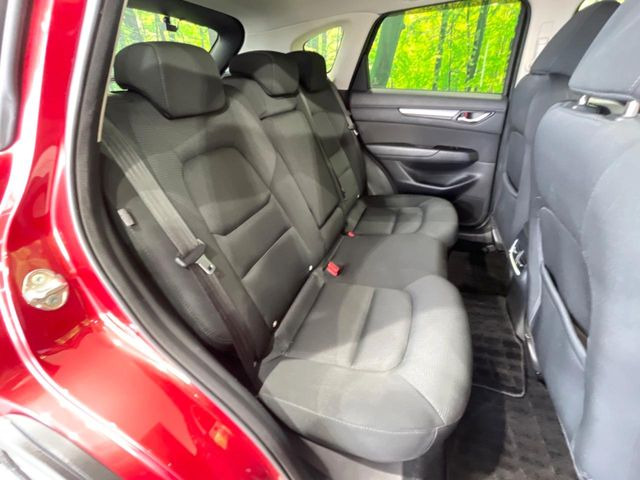 �㕔���Ȃ��C�ɂȂ�悤�ȃL�Y�E�����ւ��蓙�A�傫�ȃ_���[�W�͂Ȃ��A�ǍD�ȏ�Ԃł��B