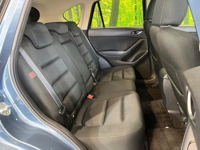 �㕔���Ȃ��C�ɂȂ�悤�ȃL�Y�E�����ւ��蓙�A�傫�ȃ_���[�W�͂Ȃ��A�ǍD�ȏ�Ԃł��B