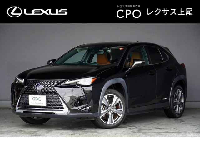 UX300e バージョンL