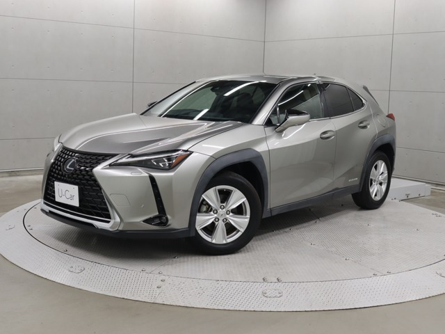 UX250h バージョンC