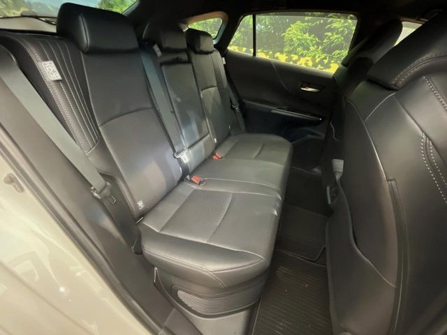 �㕔���Ȃ��C�ɂȂ�悤�ȃL�Y�E�����ւ��蓙�A�傫�ȃ_���[�W�͂Ȃ��A�ǍD�ȏ�Ԃł��B