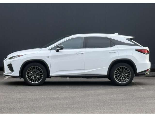 ���I�����d��������{!!���q�l�ցA�[���E������񋟂������܂����c �F�l�̂����X�E���A����S��肨�҂����Ă���܂����c