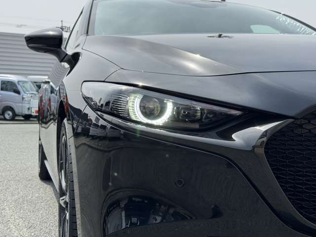 ���W����ɂ͍��i���̒��ÎԂ�V�Ԃ��������ł����W���䐔100��̑�^�W����֐��񂲗��X����������