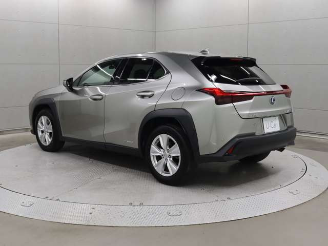 UX250h バージョンC