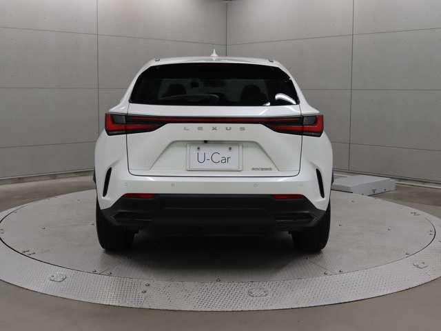 NX250 バージョンL