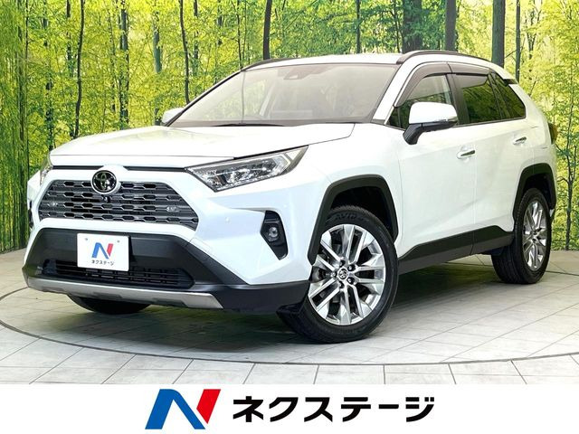 RAV42.0 G Zパッケージ 4WD