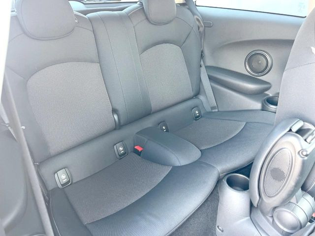 ���㕔���Ȃ��C�ɂȂ�悤�ȃL�Y�E�����ւ��蓙�A�傫�ȃ_���[�W�͂Ȃ��A�ǍD�ȏ�Ԃł��B