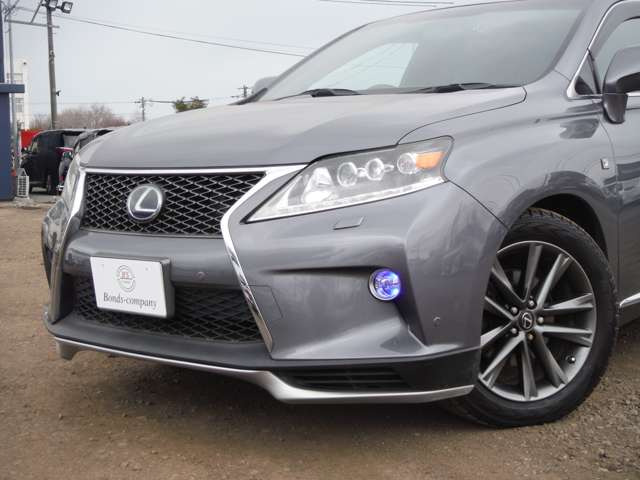 ���ۂɌ��Ă���������΂��̎Ԃ̗ǂ����`��邩�Ǝv���܂��̂ŁA���Ј�x�����X��������!