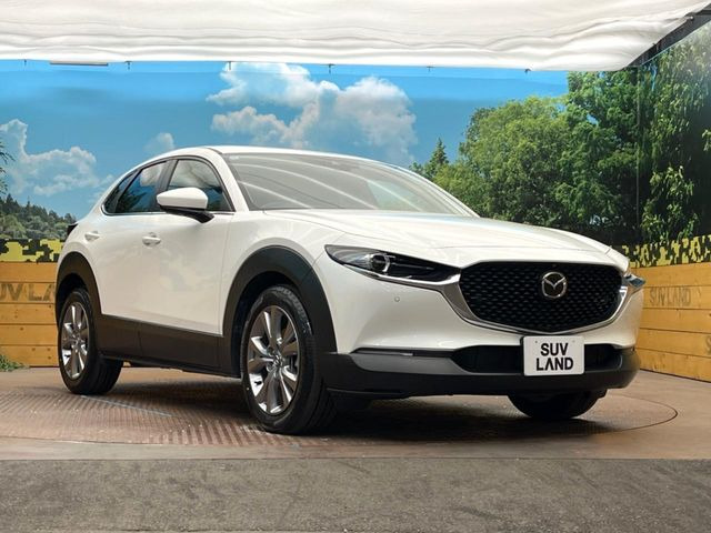 高透明度のガラス皮膜で撥水はもちろん、上質なツヤ・光沢を実現。紫外線や酸性雨から大切な愛車を保護し、色あせ・劣化を防止。「弾スプラッシュコート」、「弾プリミッサコート」からお選びいただけます。