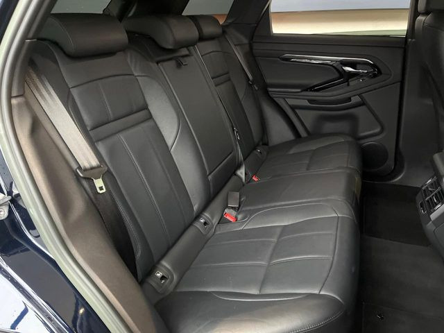 ���㕔���Ȃ��C�ɂȂ�悤�ȃL�Y�E�����ւ��蓙�A�傫�ȃ_���[�W�͂Ȃ��A�ǍD�ȏ�Ԃł��B