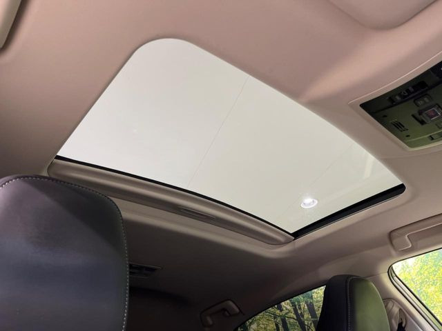 �y�T�����[�t�z�J���������Ղ�̊󏭑����A�T�����[�t����������Ă��܂�!�ԓ��ɖ�����������ꂽ��i�F���y���ވȊO�ɂ��A�ԓ��̋�C���ȒP�Ɋ��C�ł��ĉ��K�ł�!