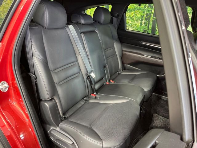 �㕔���Ȃ��C�ɂȂ�悤�ȃL�Y�E�����ւ��蓙�A�傫�ȃ_���[�W�͂Ȃ��A�ǍD�ȏ�Ԃł��B