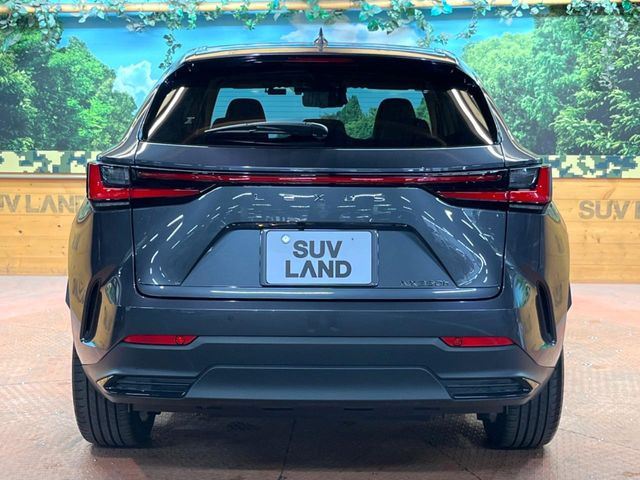 安心の最長10年・走行無制限保証(有償)をご用意。保証内容も充実はもちろん、無料点検&オイル交換や、年中無休の全国・24時間ロードサービスも付帯されておりますのでご安心下さい。