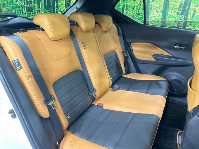 �㕔���Ȃ��C�ɂȂ�悤�ȃL�Y�E�����ւ��蓙�A�傫�ȃ_���[�W�͂Ȃ��A�ǍD�ȏ�Ԃł��B