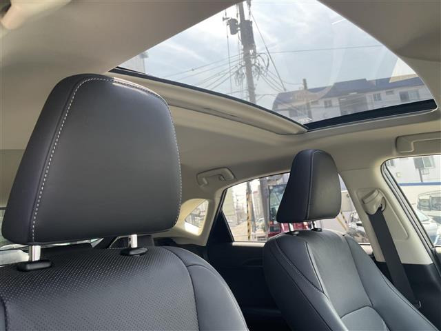 NX300h バージョンL