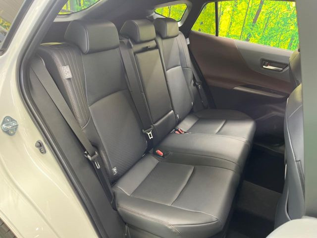 �㕔���Ȃ��C�ɂȂ�悤�ȃL�Y�E�����ւ��蓙�A�傫�ȃ_���[�W�͂Ȃ��A�ǍD�ȏ�Ԃł��B