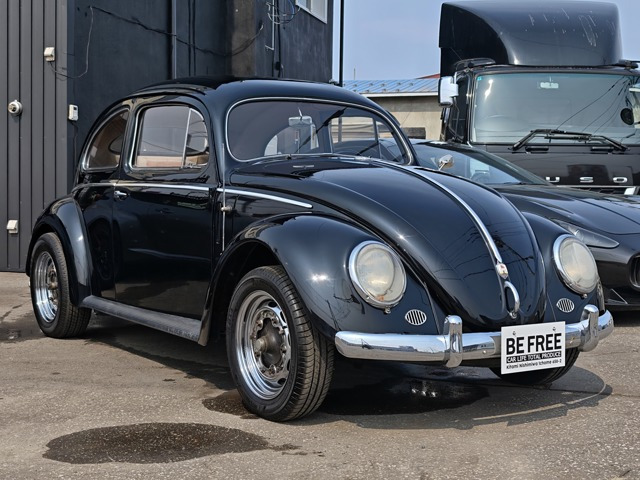 ビートル
