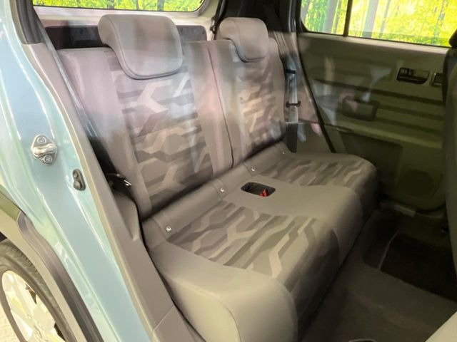 �㕔���Ȃ��C�ɂȂ�悤�ȃL�Y�E�����ւ��蓙�A�傫�ȃ_���[�W�͂Ȃ��A�ǍD�ȏ�Ԃł��B