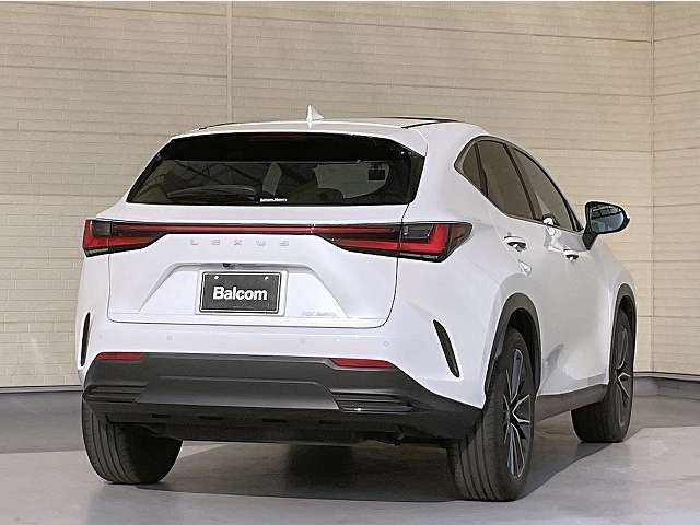 NX250 バージョンL