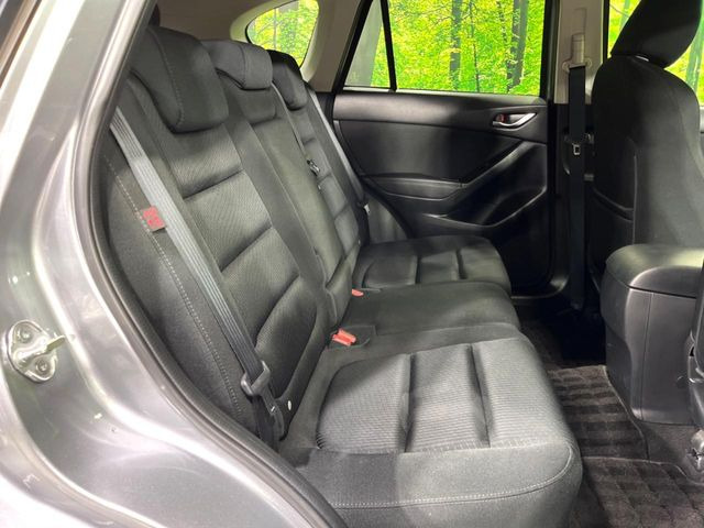 �㕔���Ȃ��C�ɂȂ�悤�ȃL�Y�E�����ւ��蓙�A�傫�ȃ_���[�W�͂Ȃ��A�ǍD�ȏ�Ԃł��B