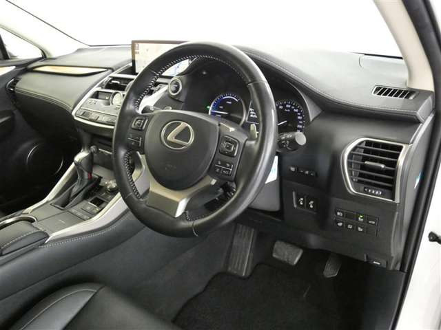 NX300h バージョンL