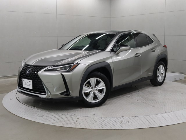 UX250h バージョンC