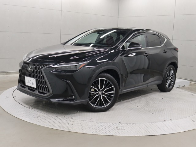 NX350h バージョンL