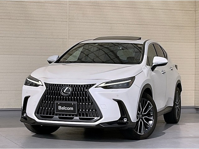 NX250 バージョンL