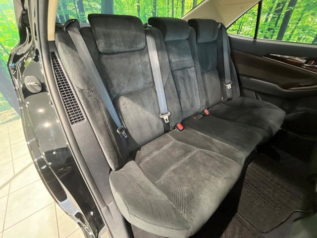 �㕔���Ȃ��C�ɂȂ�悤�ȃL�Y�E�����ւ��蓙�A�傫�ȃ_���[�W�͂Ȃ��A�ǍD�ȏ�Ԃł��B