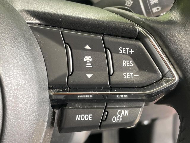 �y�}�c�_�E���[�_�[�N���[�Y�R���g���[���z�������H�ł̒��������s���y��!�����ő��x��ۂN���[�Y�R���g���[�����A�Փˌy���V�X�e���ƘA�g���A�O���̎ԗ������m���ĎԊԂ�ۂ悤�ɑ��x���߂��Ă���܂�!!