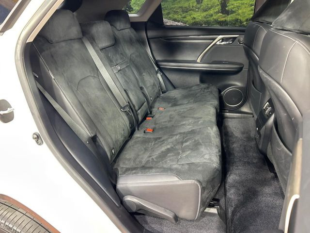 �㕔���Ȃ��C�ɂȂ�悤�ȃL�Y�E�����ւ��蓙�A�傫�ȃ_���[�W�͂Ȃ��A�ǍD�ȏ�Ԃł��B