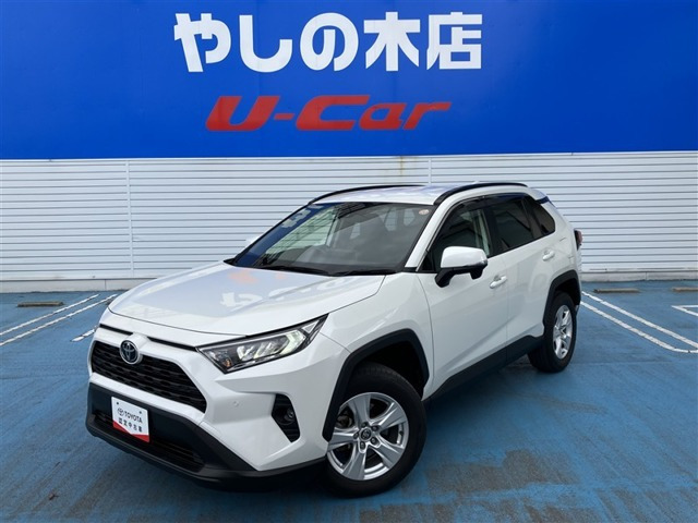 RAV42.0 X