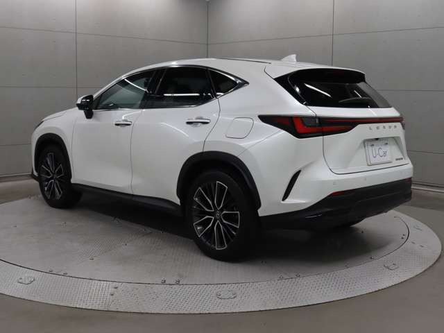 NX250 バージョンL