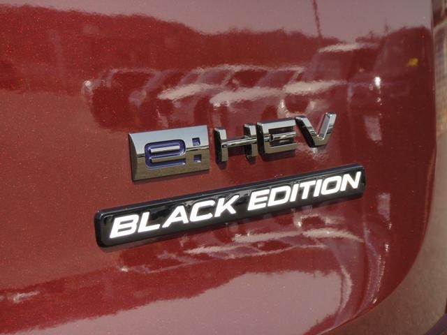 ��SPADA PREMIUM LINE BLACK EDITION ��p������